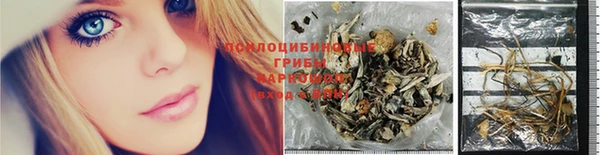 ГАЛЛЮЦИНОГЕННЫЕ ГРИБЫ Абдулино