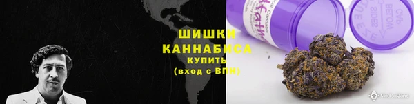 ГАЛЛЮЦИНОГЕННЫЕ ГРИБЫ Абдулино