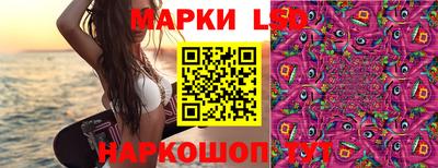 mdpv Рыбинск