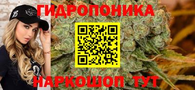 соль ск Рузаевка