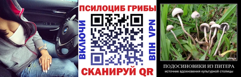 Галлюциногенные грибы мицелий Удомля