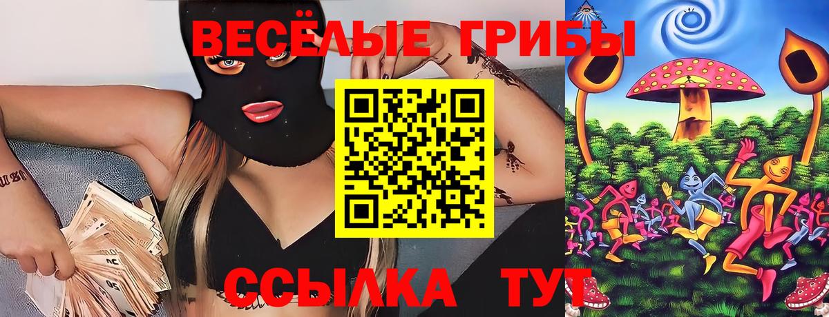купить  цена  Псилоцибиновые грибы GOLDEN TEACHER  Удомля  Вход с VPN  Галлюциногенные грибы мицелий 